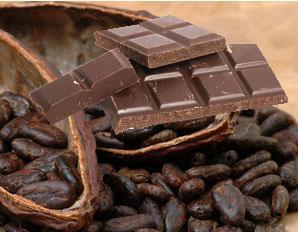 Measuring Total Fat in Chocolate using MQC+