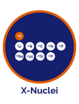 X-Pulse原子核
